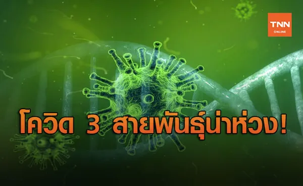 เฝ้าระวัง 3 สายพันธุ์โควิด-19 พบตอบสนองวัคซีนลดลง - แพร่กระจายง่าย