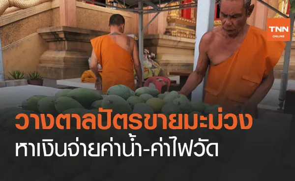 พระวัดบางหญ้าแพรก นั่งขายมะม่วง หาเงินจ่ายค่าน้ำ-ค่าไฟ