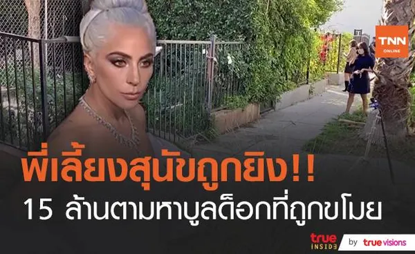 ถูกปล้นบูลด็อก!! พี่เลี้ยงสุนัขของ “Lady Gaga” ถูกจ่อยิงระหว่างพาน้องโฮ่งออกไปเดินเล่น