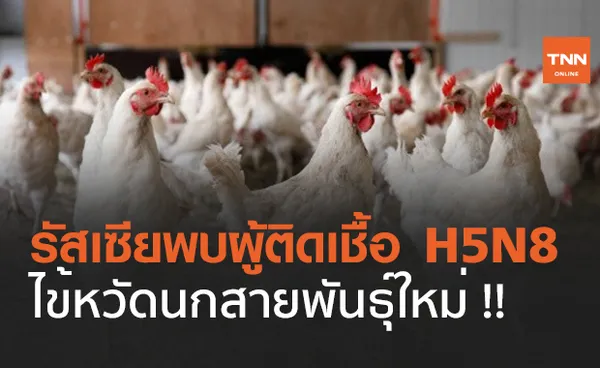 รัสเซียพบผู้ติดเชื้อ H5N8 ไข้หวัดนกสายพันธุ์ใหม่