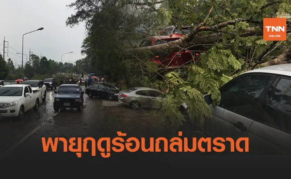 พายุฝนถล่มตราด ต้นไม้ริมถนนล้มทับรถ 3 คัน