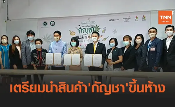 กรมการแพทย์แผนไทยเตรียมนำสินค้า 'กัญชา' ขึ้นห้างครั้งแรก