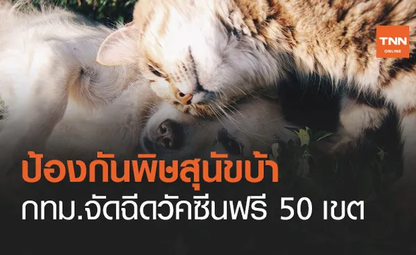 กทม.จัดบริการฉีดวัคซีนป้องกัน พิษสุนัขบ้า ฟรี 50 เขต