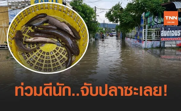 ฝนถล่มสัตหีบ น้ำระบายไม่ทัน จับปลาซะเลย!