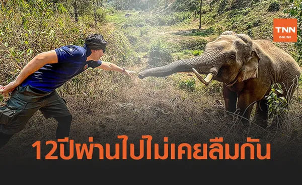 ‘หมอล็อต’ เผยเรื่องราวประทับใจรักษา 'ช้างป่า' ผ่านไป 12 ปียังจำกันได้