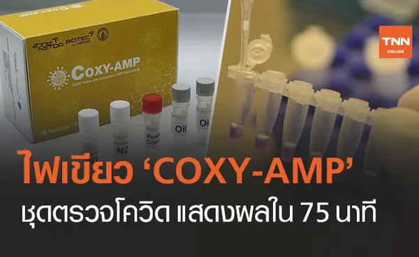 อย.ออกใบรับรอง COXY-AMP ชุดตรวจโควิด-19 แสดงผลใน 75 นาที