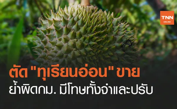 สั่งคุมเข้มห้ามตัด ทุเรียนอ่อน ขาย ย้ำผิดกม.มีโทษทั้งจำและปรับ