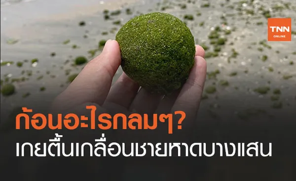 สุดแปลก!  ‘สาหร่ายก้อนกลม’ เต็มหาดบางแสน น่ารักจนต้องแชร์รัวๆ