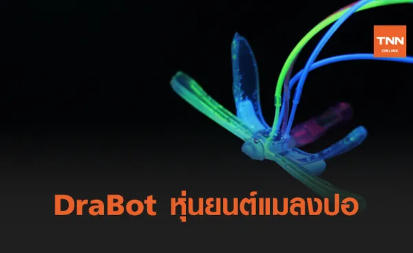 DraBot หุ่นยนต์แมลงปอ สำรวจคุณภาพสิ่งแวดล้อม