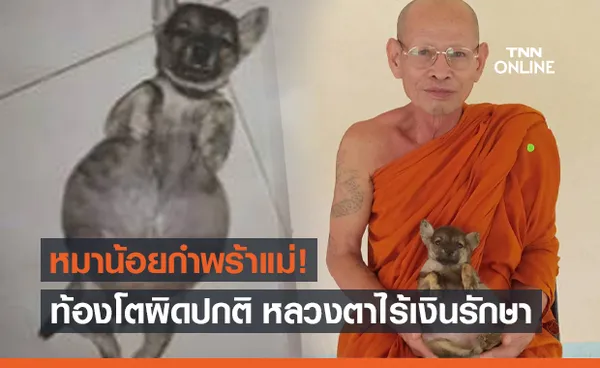 สุดเวทนา! ลูกสุนัข ท้องโตผิดปกติ นอนทีไรหงายท้องทุกที