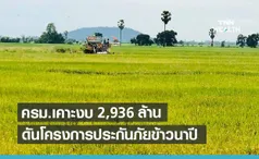 ครม.เห็นชอบประกันภัยข้าวนาปี วงเงิน 2.9 พันล้านบาท