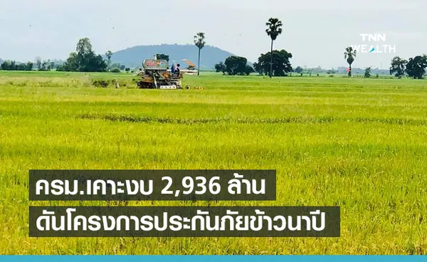 ครม.เห็นชอบประกันภัยข้าวนาปี วงเงิน 2.9 พันล้านบาท