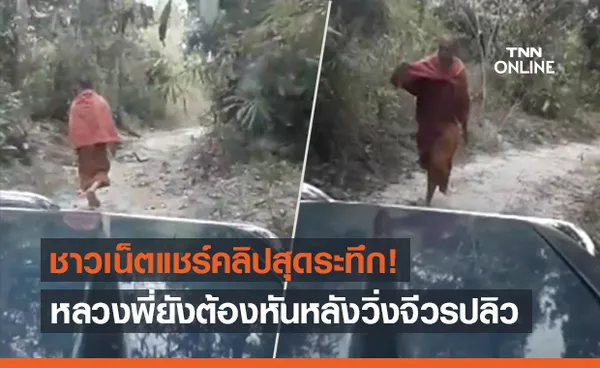 ชาว Tik Tok แชร์คลิปนาทีระทึก หลวงพี่ยังต้องวิ่งเมื่อเจอเจ้าถิ่น!