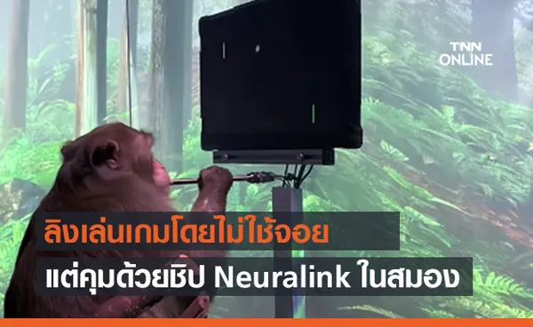 ลิงเล่นเกม Pong โดยไม่ใช้จอย แต่ควบคุมด้วยชิป Neuralink ในสมอง