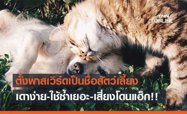 ผลสำรวจชี้! คนนับล้านใช้รหัสผ่านเป็นชื่อสัตว์เลี้ยง เสี่ยงโดนแฮ็ก!