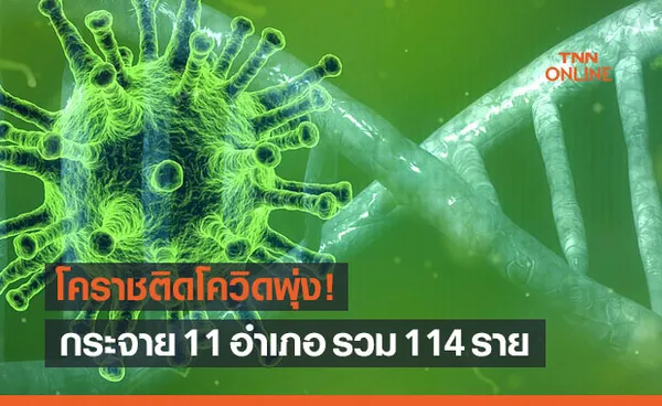 โคราชติดโควิดพุ่ง! กระจาย 11 อำเภอ รวม 114 ราย