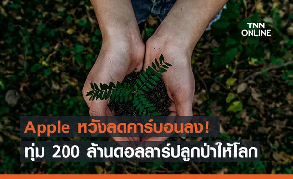 Apple ทุ่ม 200 ล้านดอลลาร์ฟื้นฟูป่า หวังกำจัด CO2!