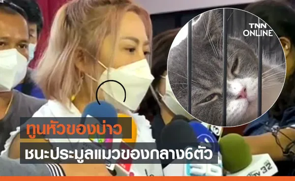 เพจแมวชื่อดัง 'ทูนหัวของบ่าว' ชนะประมูล แมวของกลาง 6 ตัว