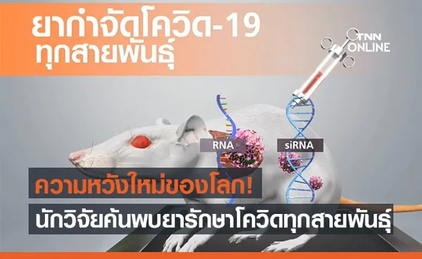 นักวิจัยออสเตรเลีย ค้นพบยารักษาโควิด-19 ทุกสายพันธุ์!