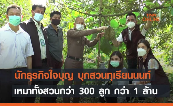 นักธุรกิจใจบุญ บุกสวนทุเรียนนนท์ เหมาทั้งสวนกว่า 300 ลูกเป็นเงินกว่า 1 ล้าน 