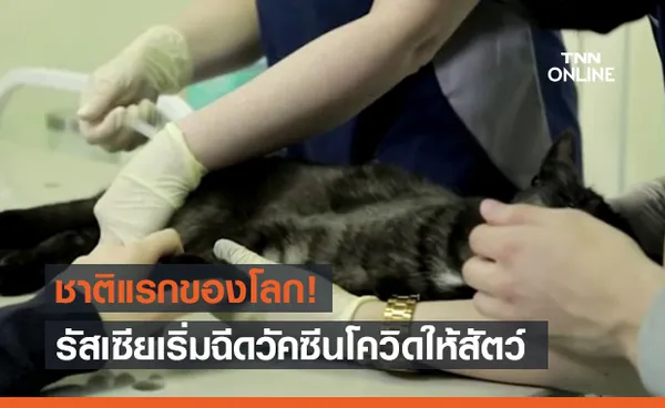 สกัดกลายพันธุ์! รัสเซีย เริ่มฉีดวัคซีนโควิด-19 ให้สัตว์แล้ว