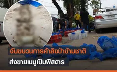 จับขบวนการค้าลิงป่าข้ามชาติ-ส่งขายเมนูเปิบพิสดาร