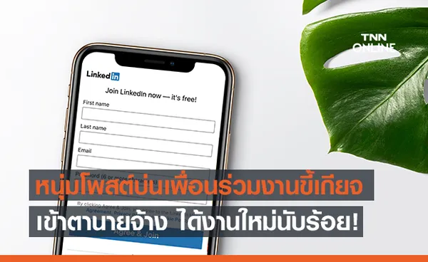 โพสต์โดนใจจนได้งาน! หนุ่มอังกฤษบ่นเพื่อนร่วมงานแสนจุกจิกบน  LinkedIn จนบริษัทแห่มอบตำแหน่งให้