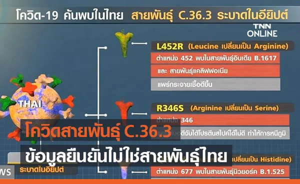 ทำความรู้จัก โควิดกลายพันธุ์ C.36.3 ข้อมูลยืนยันไม่ใช่สายพันธุ์ไทย