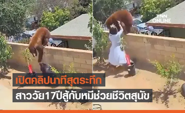 นาทีระทึก!สาววัย 17 ปีสู้หมีด้วยมือเปล่าช่วยชีวิตสุนัขที่เลี้ยงไว้