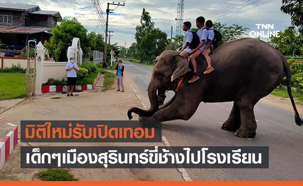 มิติใหม่! เปิดภาพเด็กๆชาวสุรินทร์เล่นใหญ่ขี่ช้างไปเรียน 