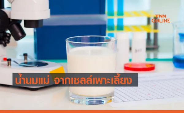 BIOMILQ คิดค้นน้ำนมแม่จากเซลล์เพาะเลี้ยงได้สำเร็จ