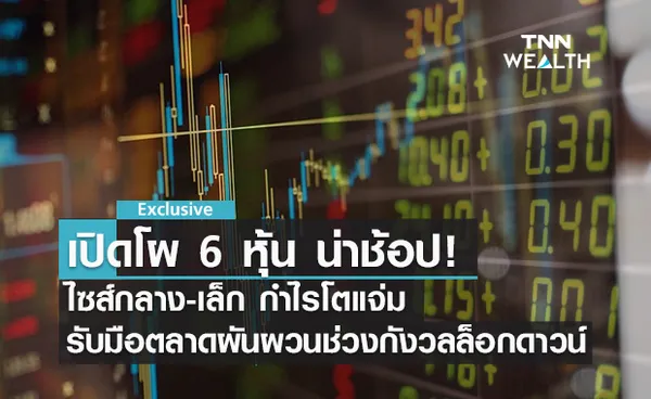 เปิดโผ 6 หุ้นกลาง-เล็กกำไรแจ่มน่าซื้อ รับตลาดผันผวนกังวลล็อกดาวน์ 