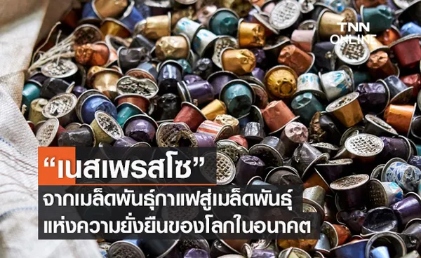 “เนสเพรสโซ” จากเมล็ดพันธุ์กาแฟสู่เมล็ดพันธุ์แห่งความยั่งยืนของโลกในอนาคต