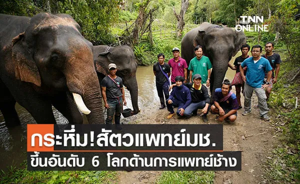 สัตวแพทย์มช. ขึ้นอันดับ 6 ของโลก ด้านการแพทย์เกี่ยวกับช้าง