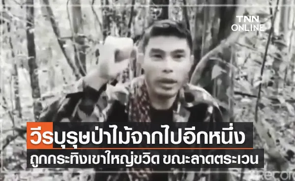 เศร้า! เจ้าหน้าที่พิทักษ์ป่า เขาใหญ่ ถูกกระทิงขวิดเสียชีวิต ขณะลาดตระเวน