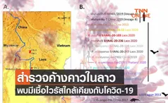 วิจัยใหม่! พบค้างคาวในลาวมีเชื้อไวรัสใกล้เคียงกับโควิด-19 ในมนุษย์