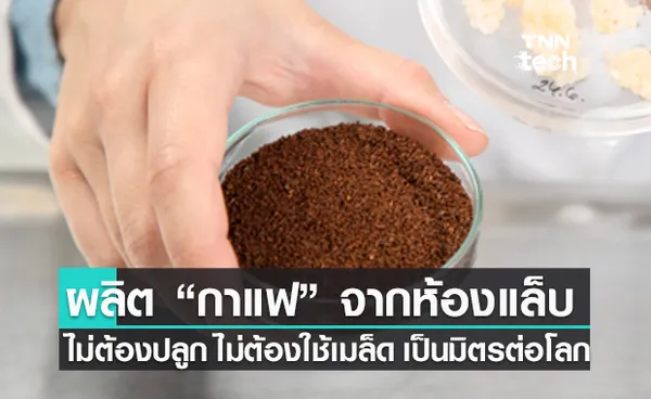 ผลิตกาแฟในห้องแล็บ ไม่ต้องปลูก ไม่ต้องใช้เมล็ด - เป็นมิตรต่อสิ่งแวดล้อม