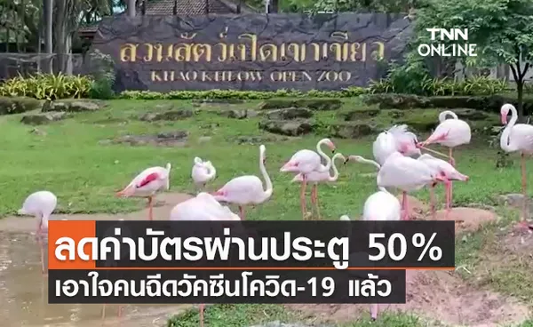 สวนสัตว์เปิดเขาเขียว จัดโปรพิเศษฉีดวัคซีนแล้วลดค่าบัตรผ่านประตู 50%