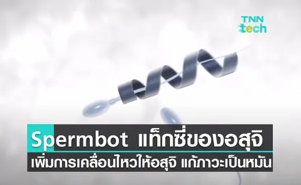 สเปิร์มบอต (Spermbot) รถแท็กซี่ของตัวอสุจิ ช่วยแก้ปัญหาภาวะเป็นหมันจากตัวอสุจิเคลื่อนไหวน้อย