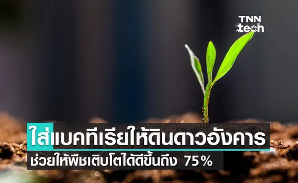 เติมแบคทีเรียลงดินจากดาวอังคาร ช่วยให้พืชเจริญเติบโตดีขึ้น 75%