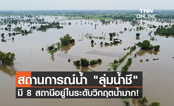 อัปเดตล่าสุด! สถานการณ์น้ำ ลุ่มน้ำชี มี 8 สถานีอยู่ในระดับวิกฤตน้ำมาก