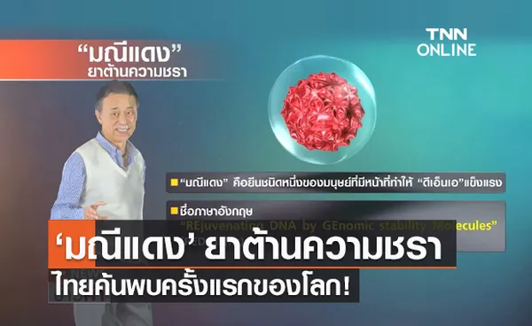 รู้จัก มณีแดง หรือ RED-GEMs ยาต้านความชรา ไทยค้นพบครั้งแรกของโลก!