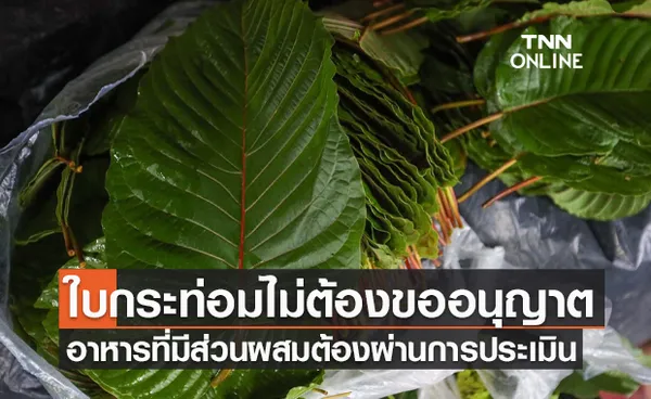 อย.เผยผลิตภัณฑ์อาหารมีส่วนผสม กระท่อม ต้องขออนุญาตก่อน