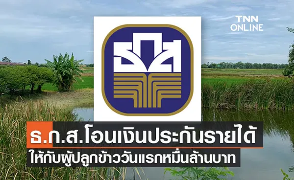 เช็กเลย!ธ.ก.ส.โอนเงินประกันรายได้ให้ผู้ปลูกข้าว ปี 64/65 วันแรกกว่าหมื่นล้าน