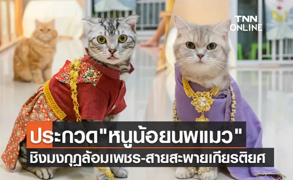 ลอยกระทงปี 64 เอาใจทาสจัดประกวด หนูน้อยนพแมว ชิงมงกุฎทองล้อมเพชร