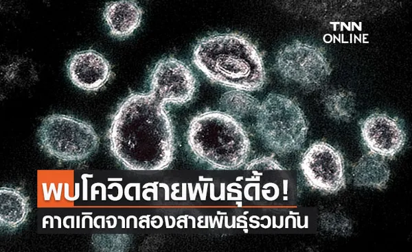 พบโควิดสายพันธุ์ ดื้อ ในสหรัฐเกิดจาก 2 สายพันธุ์รวมตัวกัน