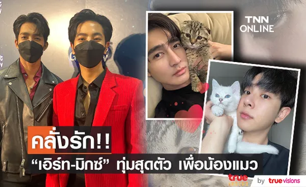 เอิร์ท-มิกซ์ คลั่งรัก ทุ่ม 250,000 สร้างบ้านให้น้องแมว