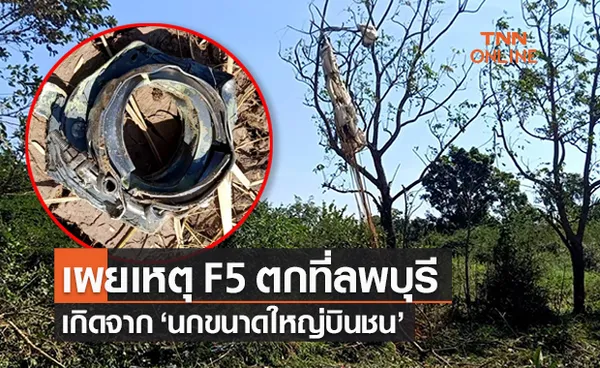 เผยสาเหตุเครื่องบินขับไล่ F5 ตกที่ลพบุรี เกิดจาก ‘นกขนาดใหญ่บินชน’