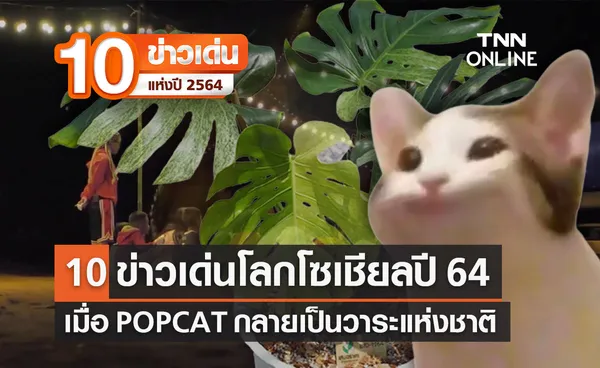 10 ข่าวเด่นแห่งปี ลำดับที่ 3/10 'มัดรวมโลกโซเชียล' เชื่อหรือไม่ POPCAT กลายเป็นวาระแห่งชาติ!