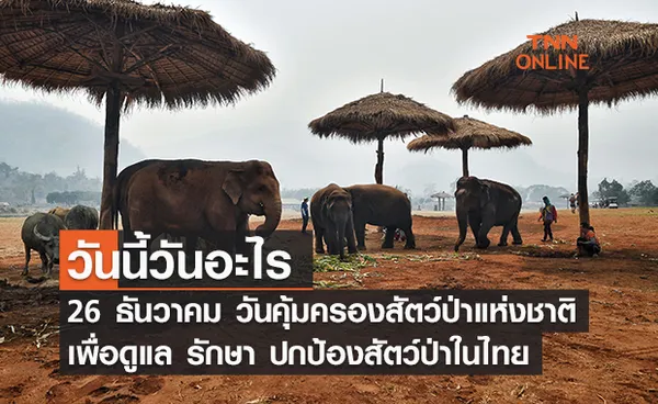 วันนี้วันอะไร 26 ธันวาคม ตรงกับ “วันคุ้มครองสัตว์ป่าแห่งชาติ” 